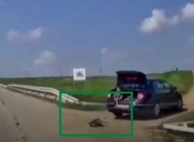 Cruzime fără margini. Un câine, legat cu o funie de mașină, este târât pe o șosea